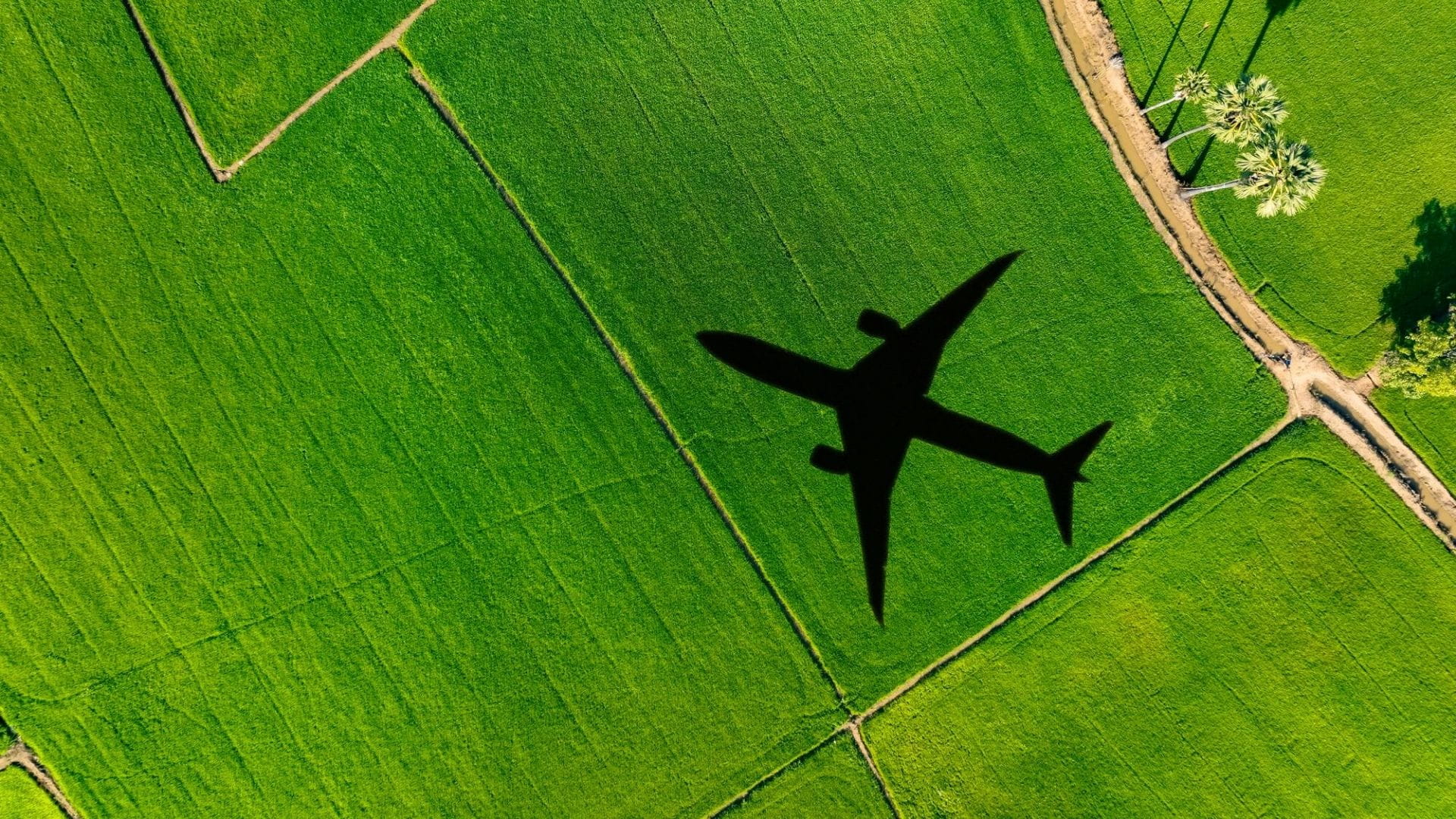 Shadow of an aircraft crossing a lush green landscape of cultivated fields and rural paths from an aerial perspective.